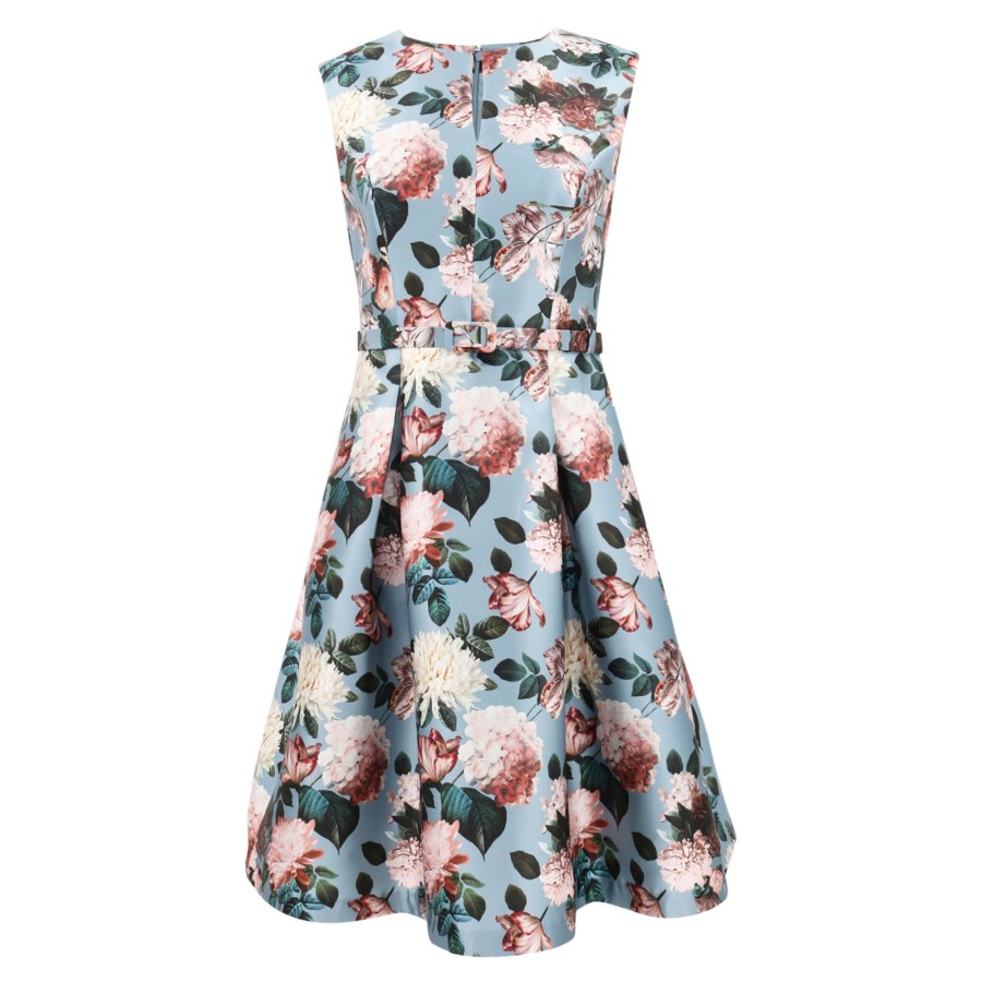 Clothing Sachin & Babi | Tish Dress Ice Blue Garden